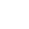 Layer_1
