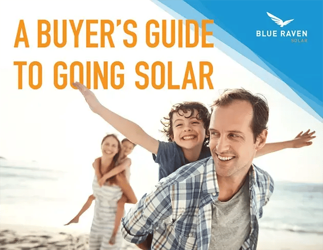 BlueRaven_BuyersGuide_eBook_P1