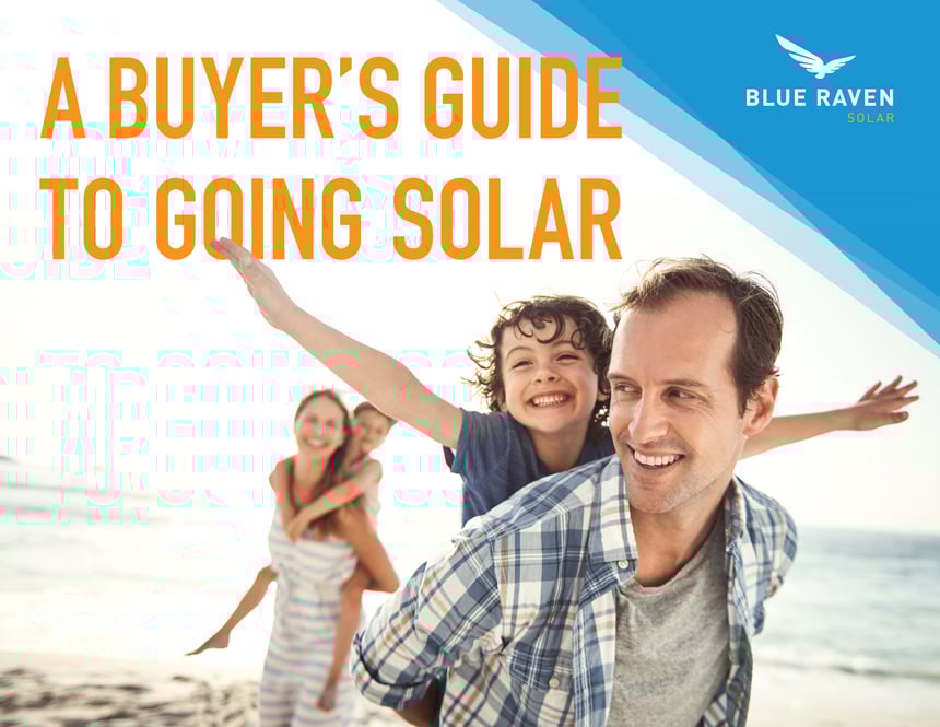 BlueRaven_BuyersGuide_eBook_P1